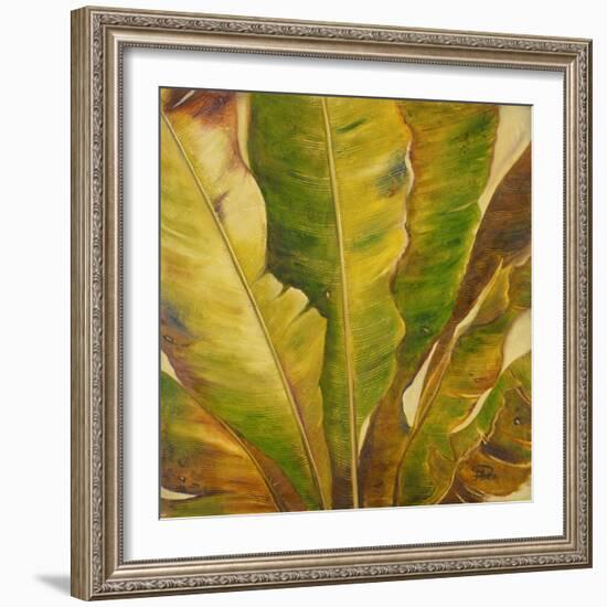 Uraba II-Patricia Pinto-Framed Art Print