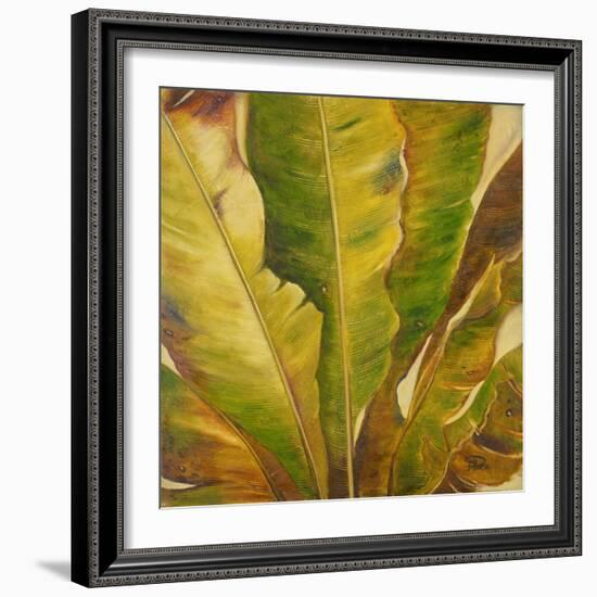 Uraba II-Patricia Pinto-Framed Art Print