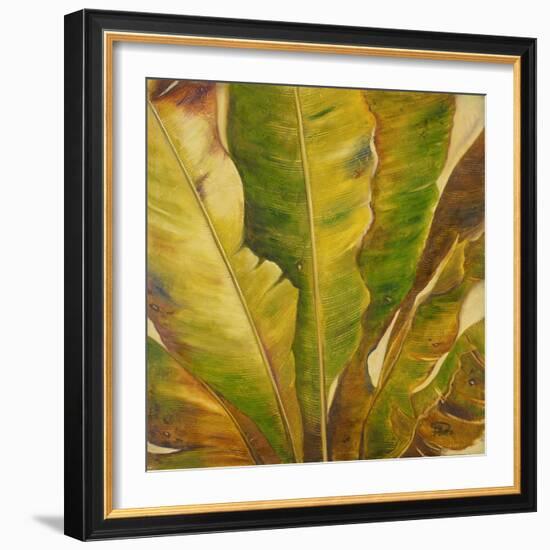 Uraba II-Patricia Pinto-Framed Art Print