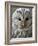 Ural Owl (Strix Uralensis) Portrait, Bergslagen, Sweden, June 2009-Cairns-Framed Photographic Print