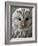 Ural Owl (Strix Uralensis) Portrait, Bergslagen, Sweden, June 2009-Cairns-Framed Photographic Print