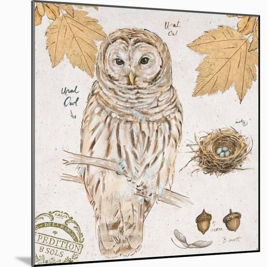 Ural Owl-Chad Barrett-Mounted Art Print