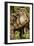 Ural Owls Three Young on Branch-null-Framed Photographic Print