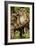 Ural Owls Three Young on Branch-null-Framed Photographic Print