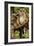 Ural Owls Three Young on Branch-null-Framed Photographic Print