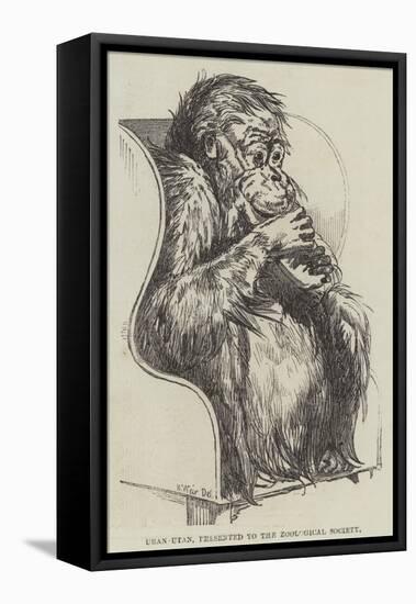 Uran-Utan, Presented to the Zoological Society-Harrison William Weir-Framed Premier Image Canvas