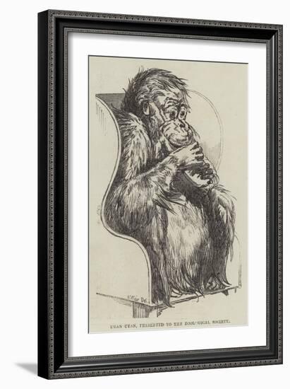 Uran-Utan, Presented to the Zoological Society-Harrison William Weir-Framed Premium Giclee Print