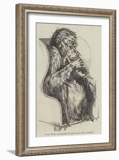 Uran-Utan, Presented to the Zoological Society-Harrison William Weir-Framed Giclee Print
