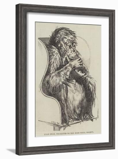 Uran-Utan, Presented to the Zoological Society-Harrison William Weir-Framed Giclee Print