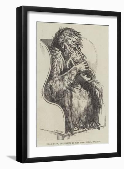 Uran-Utan, Presented to the Zoological Society-Harrison William Weir-Framed Giclee Print