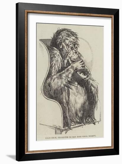 Uran-Utan, Presented to the Zoological Society-Harrison William Weir-Framed Giclee Print