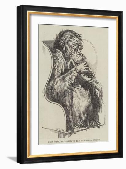 Uran-Utan, Presented to the Zoological Society-Harrison William Weir-Framed Giclee Print