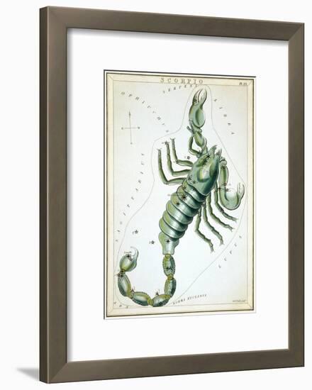 Urania's Mirror, Scorpio, 1825-Sidney Hall-Framed Art Print