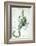 Urania's Mirror, Scorpio, 1825-Sidney Hall-Framed Art Print