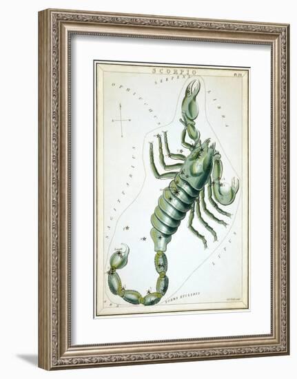 Urania's Mirror, Scorpio, 1825-Sidney Hall-Framed Art Print