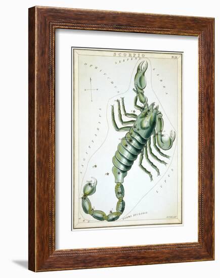 Urania's Mirror, Scorpio, 1825-Sidney Hall-Framed Art Print