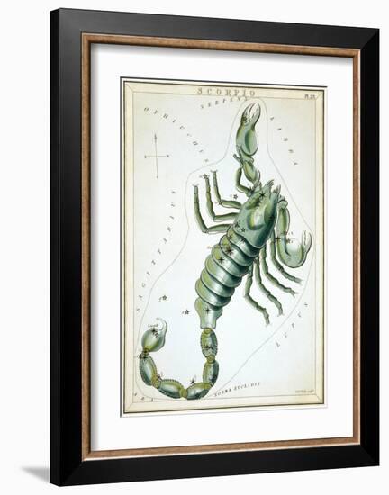 Urania's Mirror, Scorpio, 1825-Sidney Hall-Framed Art Print