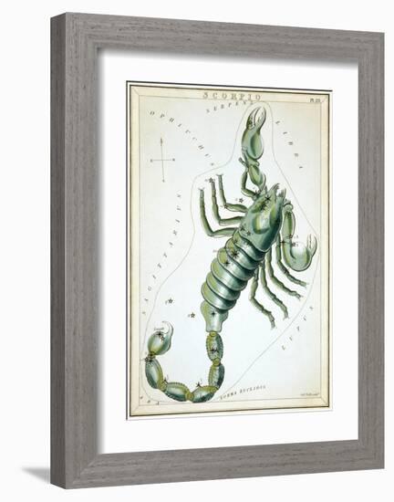 Urania's Mirror, Scorpio, 1825-Sidney Hall-Framed Art Print