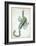 Urania's Mirror, Scorpio, 1825-Sidney Hall-Framed Art Print