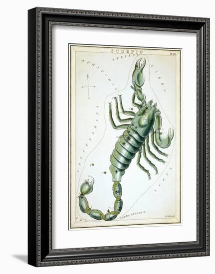 Urania's Mirror, Scorpio, 1825-Sidney Hall-Framed Art Print