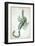 Urania's Mirror, Scorpio, 1825-Sidney Hall-Framed Art Print