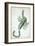 Urania's Mirror, Scorpio, 1825-Sidney Hall-Framed Art Print