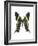 Urania Swallowtail Moth-Lawrence Lawry-Framed Photographic Print