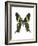 Urania Swallowtail Moth-Lawrence Lawry-Framed Photographic Print