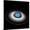 Uranus And Its Rings-Friedrich Saurer-Mounted Premium Photographic Print