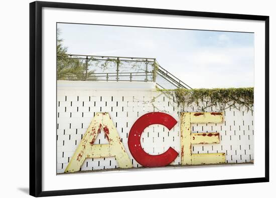 Urban Ace-Irene Suchocki-Framed Giclee Print