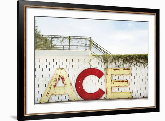 Urban Ace-Irene Suchocki-Framed Giclee Print