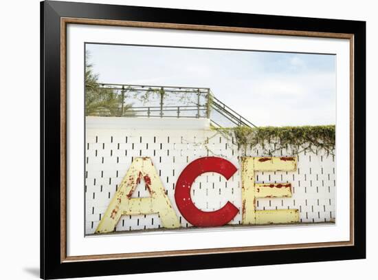 Urban Ace-Irene Suchocki-Framed Giclee Print