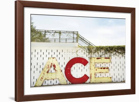 Urban Ace-Irene Suchocki-Framed Giclee Print