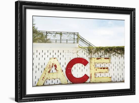 Urban Ace-Irene Suchocki-Framed Giclee Print