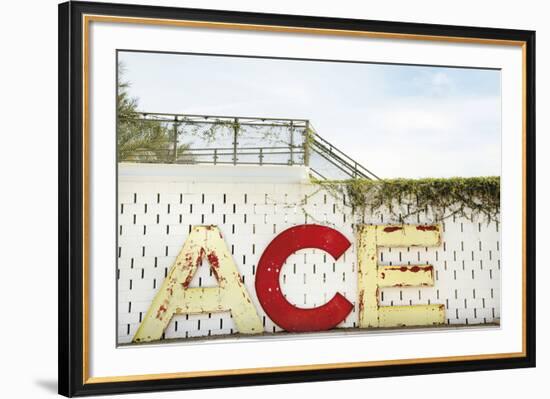 Urban Ace-Irene Suchocki-Framed Giclee Print