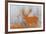 Urban Animals IV-Ken Hurd-Framed Giclee Print