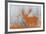 Urban Animals IV-Ken Hurd-Framed Giclee Print