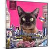 Urban cat-Anne Storno-Mounted Giclee Print