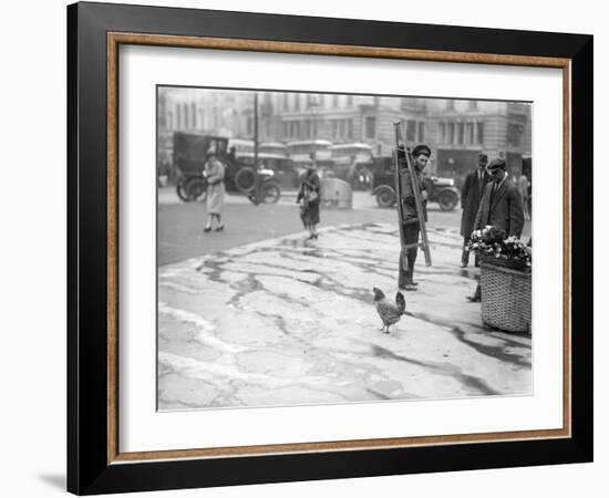 Urban Chicken-null-Framed Photographic Print