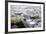 Urban City Scene in Berlin, Germany-Felipe Rodriguez-Framed Photographic Print