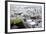 Urban City Scene in Berlin, Germany-Felipe Rodriguez-Framed Photographic Print