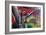 Urban Colour-Tony Koukos-Framed Giclee Print