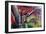 Urban Colour-Tony Koukos-Framed Giclee Print