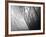 Urban Dunes 5-John Gusky-Framed Photographic Print