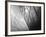 Urban Dunes 5-John Gusky-Framed Photographic Print