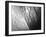 Urban Dunes 5-John Gusky-Framed Photographic Print