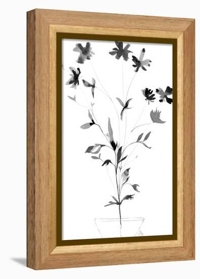 Urban Garden - Floral-Kim Colthurst Johnson-Framed Stretched Canvas