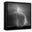 Urban Lightning I BW-Douglas Taylor-Framed Stretched Canvas