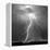 Urban Lightning II BW-Douglas Taylor-Framed Stretched Canvas