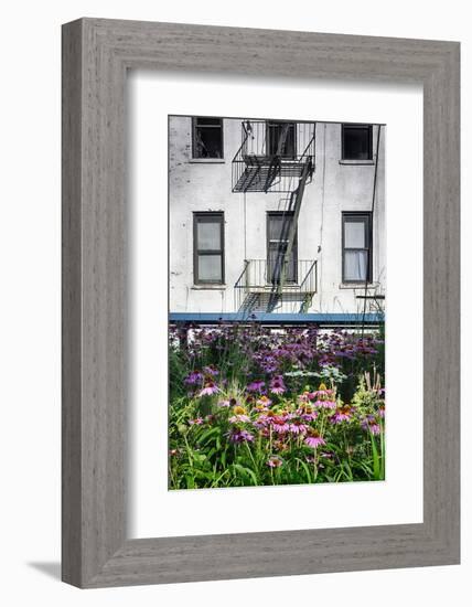 Urban Meadow Of Manhattan, New York City-George Oze-Framed Photographic Print